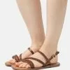 Anna Field LEATHER - Riemensandalette - Brown -Anna Field Geschäft 414a7efd2ca54efaa07a93dfab3eec76